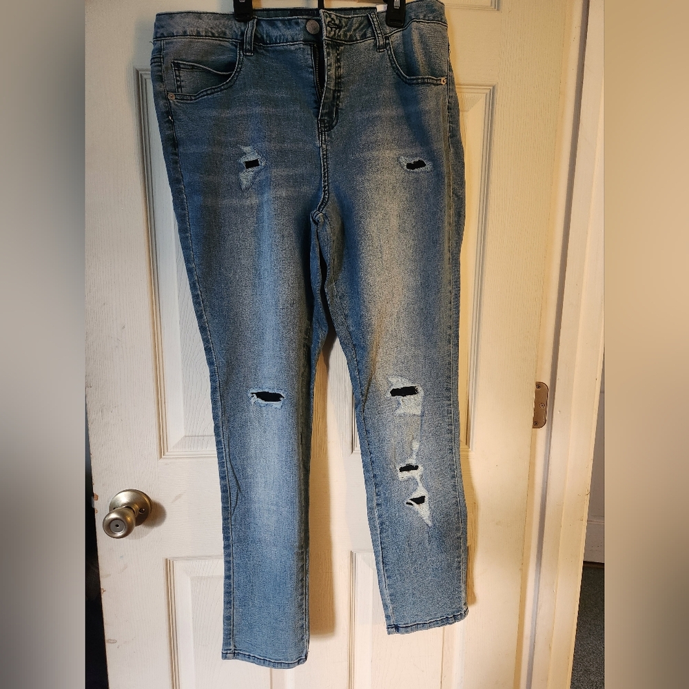 Classic Distressed Skinny Jeans in Blue
